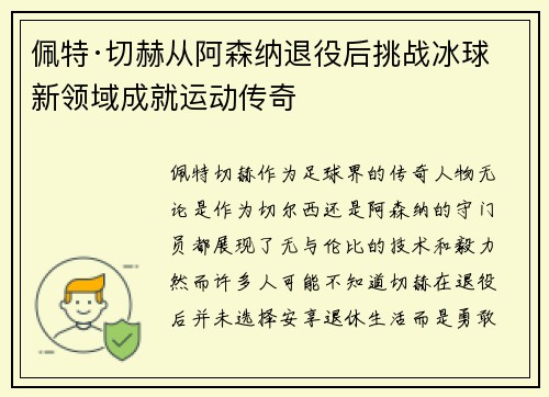 佩特·切赫从阿森纳退役后挑战冰球新领域成就运动传奇
